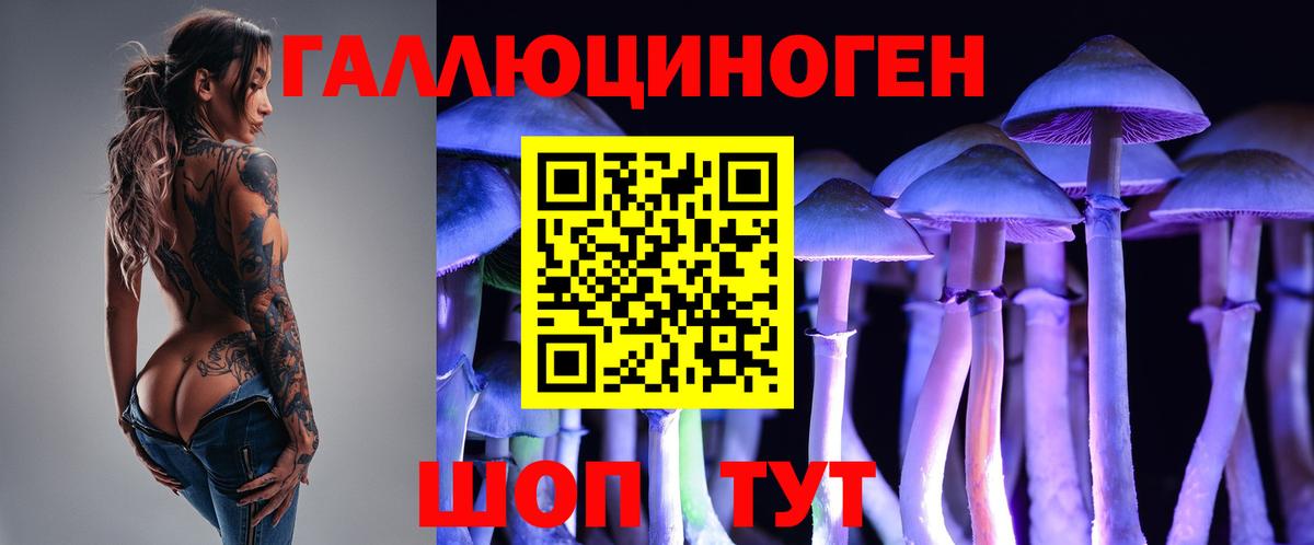 Назрань  Псилоцибиновые грибы Psilocybe  Галлюциногенные грибы Cubensis  купить наркотики цена  Вход с VPN 